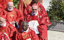 Pope Francis' funeral Mass in St. Peter's Square