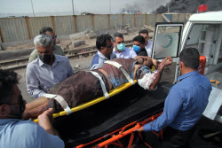 Explosion at Rajaie port in city of Bandar Abbas southern Iran
