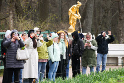Fountain season starts at St Petersburg's Peterhof State Museum Reserve
