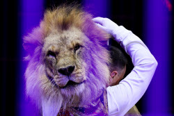 Prince of Circus show in Lugansk