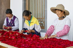 Edible Rose Processing In Huangshan