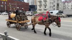 VIDEO. Parade marks Fire Service Day in Yekaterinburg, Russia