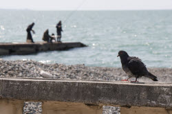 Daily life in Sukhum, Abkhazia