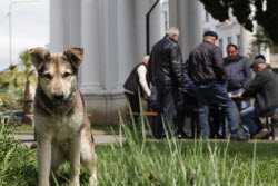 Daily life in Sukhum, Abkhazia