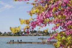 Daily life in Sukhum, Abkhazia