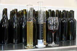 Grape breeding in Krasnodar Region, Russia