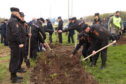 Торжественная высадка геоглифа к 80-летию Победы в ВОВ в парке Патриот