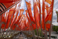 Preparations for Victory Day celebrations in Moscow