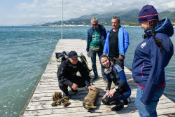 WWII underwater search expedition in Krasnodar Region, Russia