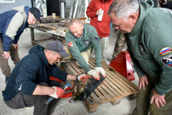 WWII underwater search expedition in Krasnodar Region, Russia