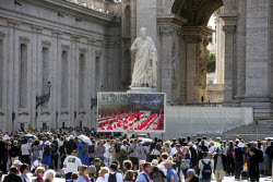 Conclave to elect a successor to late Pope Francis