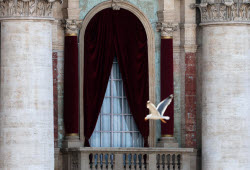 Conclave to elect a successor to late Pope Francis