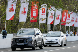 Sochi decorated for Victory Day