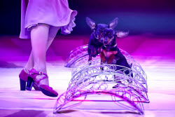 Music of Victory circus show in Moscow