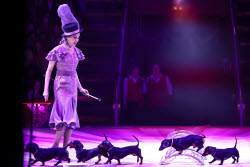 Music of Victory circus show in Moscow