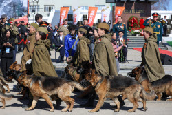Victory Day parade in Yakutsk, Russia