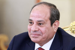 Presidents of Russia and Egypt meet in Moscow