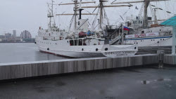VIDEO. Professor Gagarinsky research vessel in Vladivostok