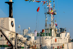 Professor Gagarinsky vessel handed over to Vietnam-Russia Tropical Centre