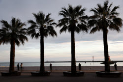 Sochi in pictures