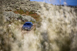 AUTO - WRC - RALLY DE PORTUGAL 2025
