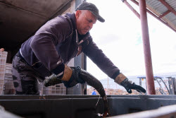 Chelyuskinets Export fishery company in Astrakhan Region, Russia