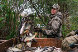 Chelyuskinets Export fishery company in Astrakhan Region, Russia