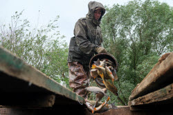 Chelyuskinets Export fishery company in Astrakhan Region, Russia