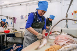 Chelyuskinets Export fishery company in Astrakhan Region, Russia