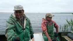 VIDEO. Chelyuskinets Export fishery company in Astrakhan Region, Russia