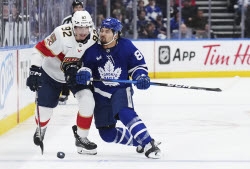Panthers Maple Leafs Hockey