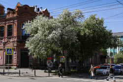 Весна в Новосибирске