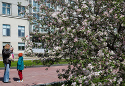 Весна в Новосибирске