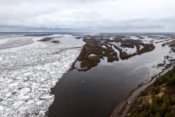 Floating ice on Lena River in Sakha Republic, Russia