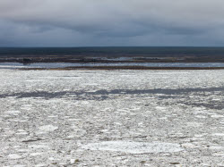 Floating ice on Lena River in Sakha Republic, Russia