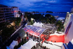 Bono: Stories of Surrender - Premiere - 78th Cannes Film Festival