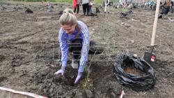 ВИДЕО. Высадка геоглифа "80 лет Победы" в Новосибирске