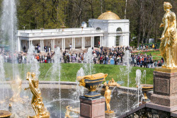 Весенний праздник фонтанов "Самсон. Возрождение" в Петергофе