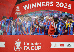 FA Cup Final - Crystal Palace vs Manchester City