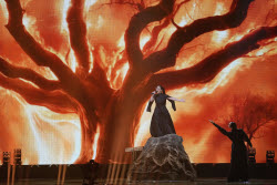 Switzerland Eurovision Song Contest