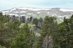 Lago-Naki Plateau in Russia's Adygea Republic