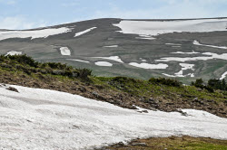 Lago-Naki Plateau in Russia's Adygea Republic