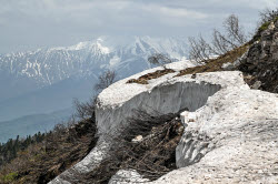 Lago-Naki Plateau in Russia's Adygea Republic
