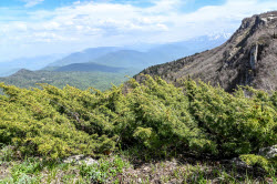 Lago-Naki Plateau in Russia's Adygea Republic