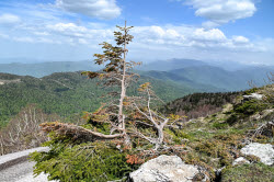Lago-Naki Plateau in Russia's Adygea Republic