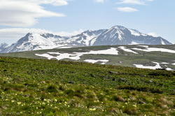 Lago-Naki Plateau in Russia's Adygea Republic