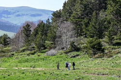 Lago-Naki Plateau in Russia's Adygea Republic