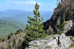Lago-Naki Plateau in Russia's Adygea Republic