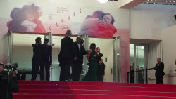 Images of 'The Phoenician Scheme' team leaving film screening at Cannes