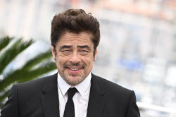 Cannes - The Phoenician Scheme Photocall